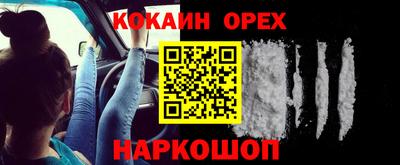 бошки Гатчина