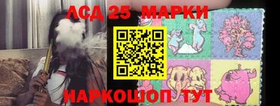 бошки Гатчина
