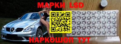 бошки Гатчина
