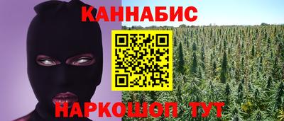 бошки Гатчина