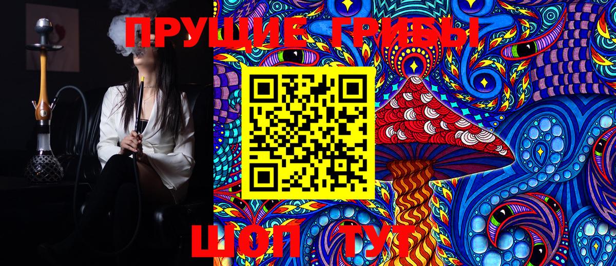 Псилоцибиновые грибы Psilocybine cubensis  где можно купить   Зеленокумск 