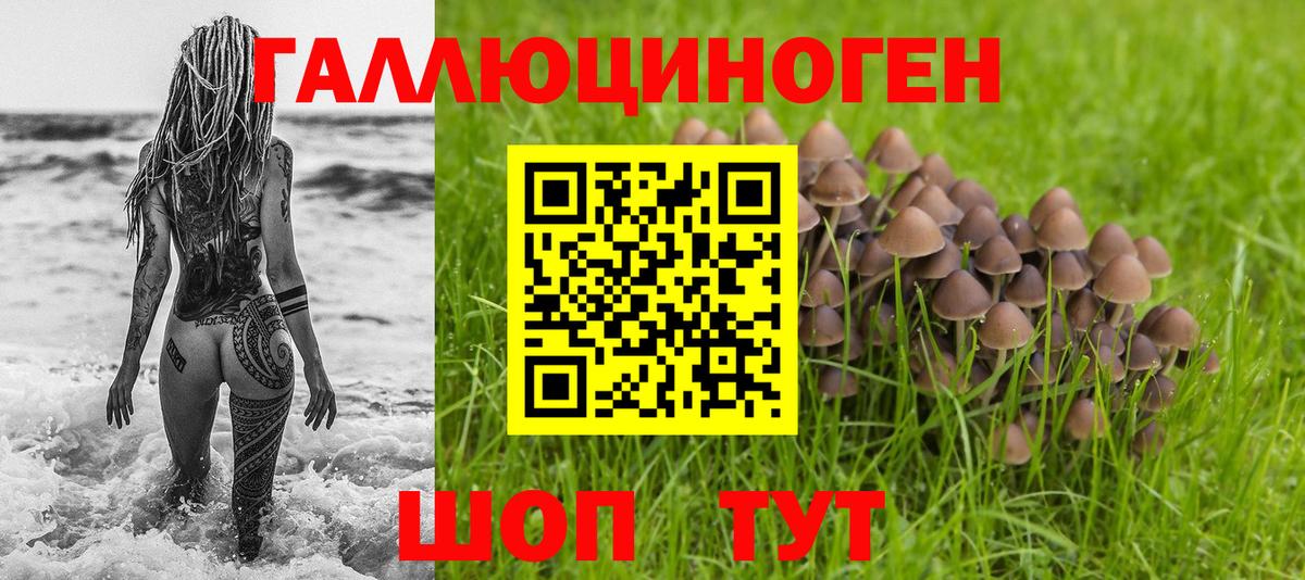 Зеленокумск  Галлюциногенные грибы мицелий  Вход с VPN  Галлюциногенные грибы Magic Shrooms 